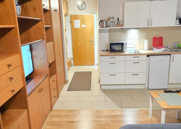 Apartment's Nr 2, 2-b , 2-c Und 2-d , In Stadtmitte Apartament