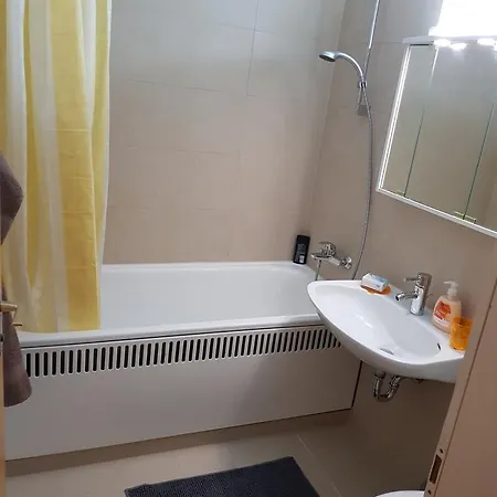 Apartment's Nr 2, 2b Und 2c In Stadtmitte *